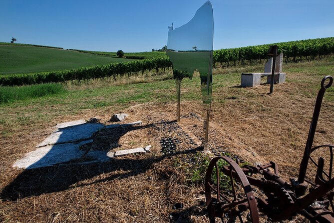 1-Hour Experience with Brunello. Visit to the Vineyard and Cellar - Beginning among tanks, barrels, and Montalcino stories