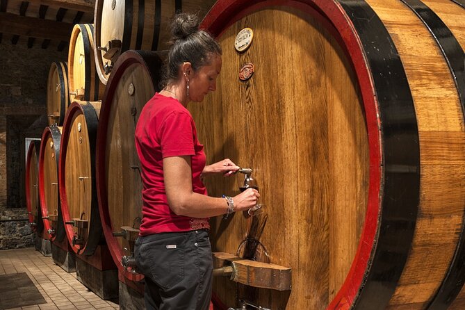 1-Hour Experience with Brunello. Visit to the Vineyard and Cellar - What appears in the tasting glasses