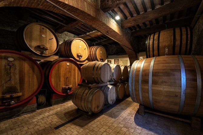 1-Hour Experience with Brunello. Visit to the Vineyard and Cellar - Timing, group size, and practical details