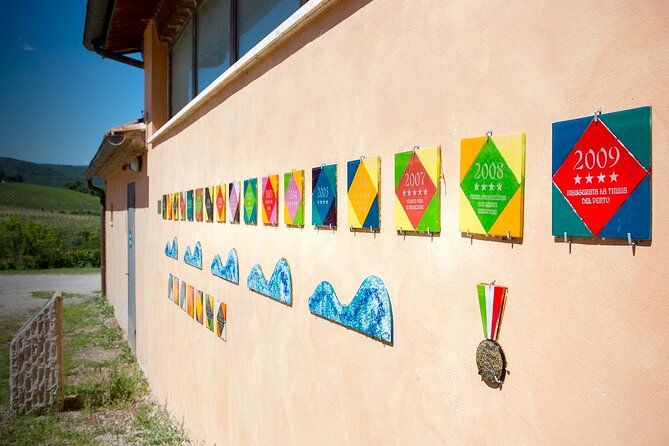 1-Hour Experience with Brunello. Visit to the Vineyard and Cellar - Art installations that change the usual winery route