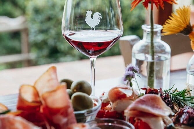2 wineries Chianti Wine Tasting & Vineyards Walk Private Tour - From Florence into the Chianti hills