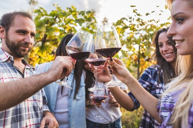 2 wineries Chianti Wine Tasting & Vineyards Walk Private Tour - Is $703.84 per person a fair price?