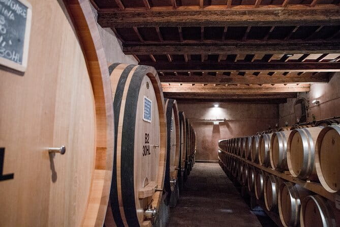 3 Hour Horse Ride to a Castle for Wine Tasting and snack Lunch - Riding Through 300 Hectares of Vineyards and Olive Groves