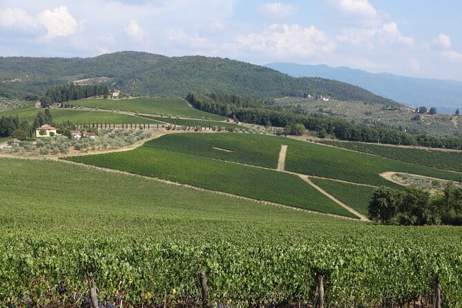 3 Hour Horse Ride to a Castle for Wine Tasting and snack Lunch - Should You Book This Tuscan Horse Ride?