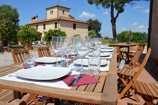 4 Wines Tasting with 2 Tuscan Cheeses & Tour at the winery - A vineyard walk when the season allows