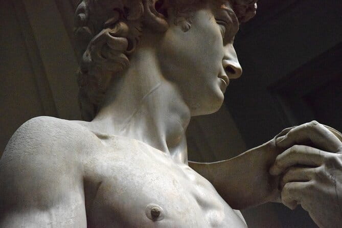 Accademia Gallery Entrance Ticket with Priority Access - Why David deserves more than a quick photograph