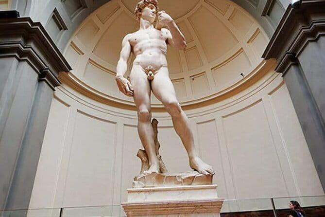 Accademia Gallery : Priority Ticket to SKIP the General Line ! - Why the Accademia entrance is worth planning