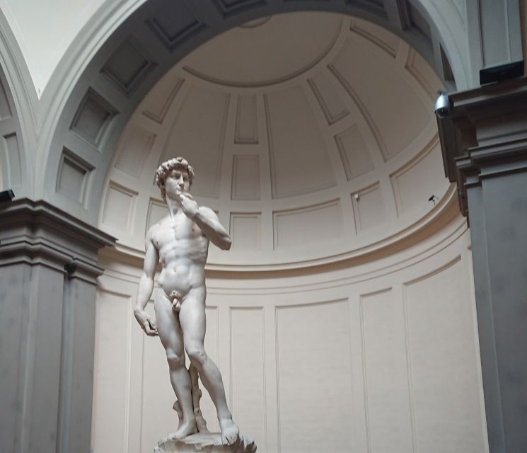 Accademia Gallery with David: Private Tour in Florence - The Medici collection of musical instruments