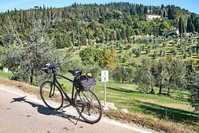 Active Full Day Tuscan Bike Tour With Wine Tasting and Lunch - Starting in Florence and climbing toward Bellosguardo