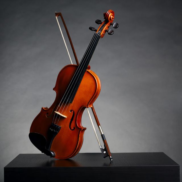 Afternoon Access to Accademia Gallery: David & Stradivarius - Why this Accademia visit is different