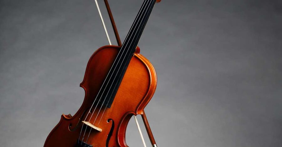 Afternoon Access to Accademia Gallery: David & Stradivarius - Meeting Michelangelo’s David