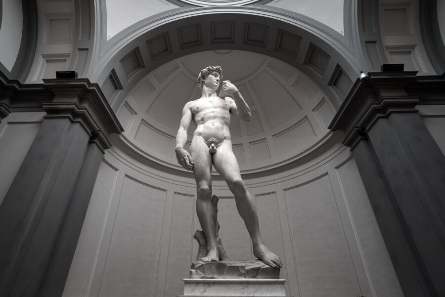 Afternoon Access to Accademia Gallery: David & Stradivarius - The musical instruments most people miss