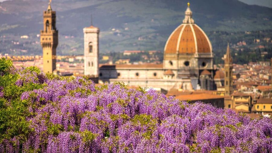 Best of Florence: Private Walking Tour with a Local - FAQ