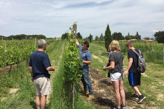 Brunello di Montalcino, small biodynamic wineries - A small van changes the feel of the day