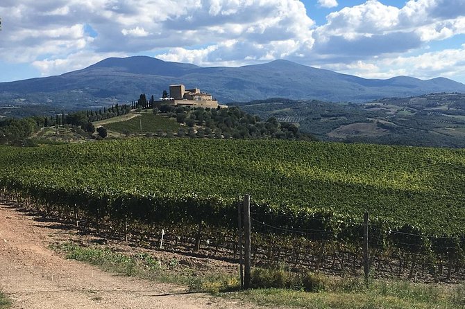 Brunello E-Bike Tour - Why this ride works for a day in Brunello country