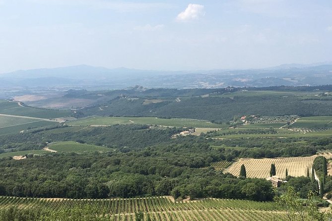 Brunello E-Bike Tour - Riding through the Tuscan countryside