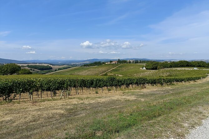 Brunello E-Bike Tour - Sant’Antimo Abbey and its quiet setting