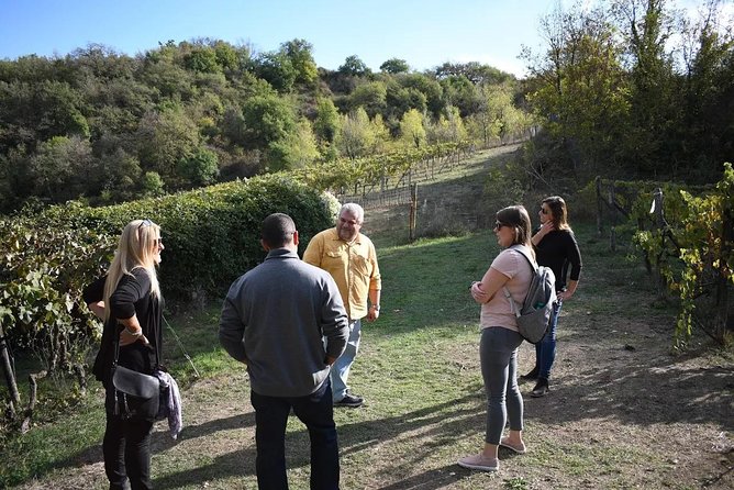 Brunello Vineyards Bus Tour - What the guide adds to the experience