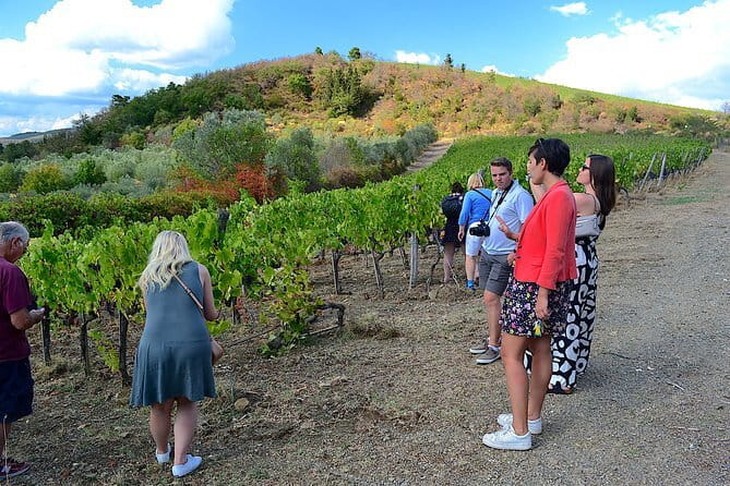 Chianti Classico and Super Tuscan 3 Winery Tour - Three wineries, three different stories
