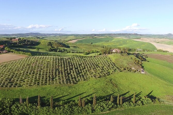 Chianti Classico, Montalcino, Montepulciano by minivan: Wine Tastings & Lunch - Who will enjoy this day most