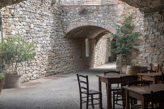 Chianti Classico, Montalcino, Montepulciano by minivan: Wine Tastings & Lunch - The Crete Senesi and Val d’Orcia by road