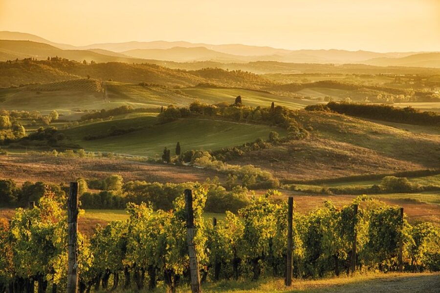 Chianti Countryside Full-Day Tour by Vintage Fiat 500 - Castellina in Chianti: A Useful Village Stop