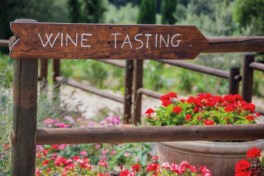 Chianti Countryside Full-Day Tour by Vintage Fiat 500 - Practical Details Before You Book