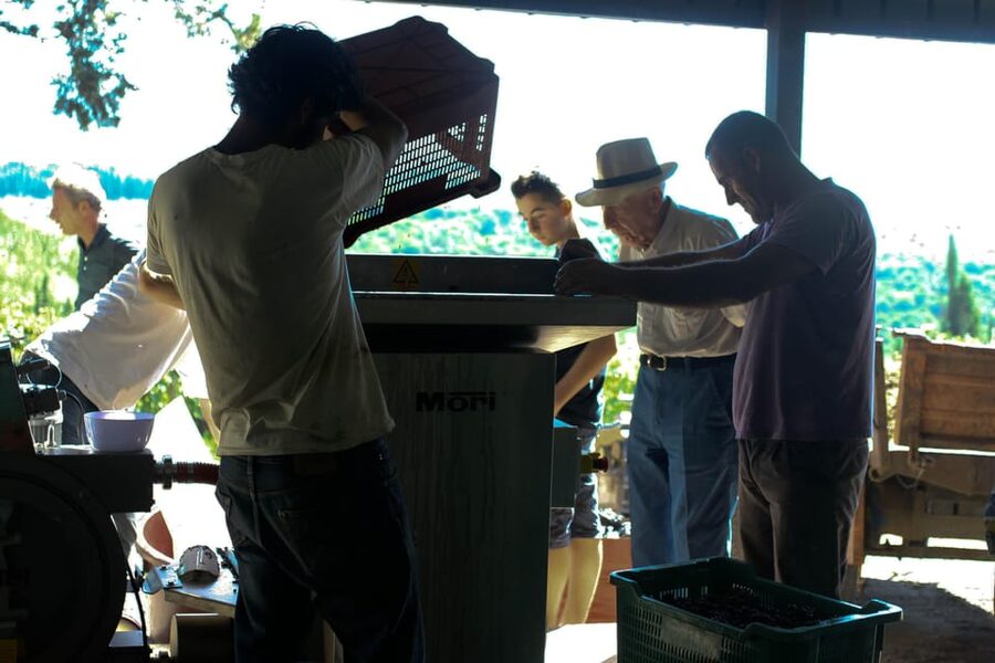 Chianti Organic wine tasting - Starting in Santa Cristina