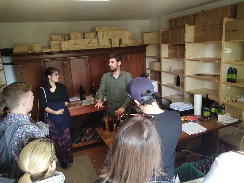 Chianti Organic wine tasting - Getting there from Florence or Greve