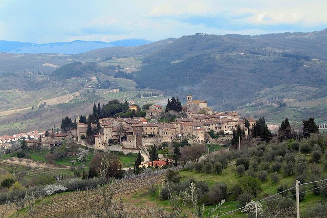 Chianti Region and San Gimignano including wine tasting and light lunch - Why this Tuscan day works from Florence