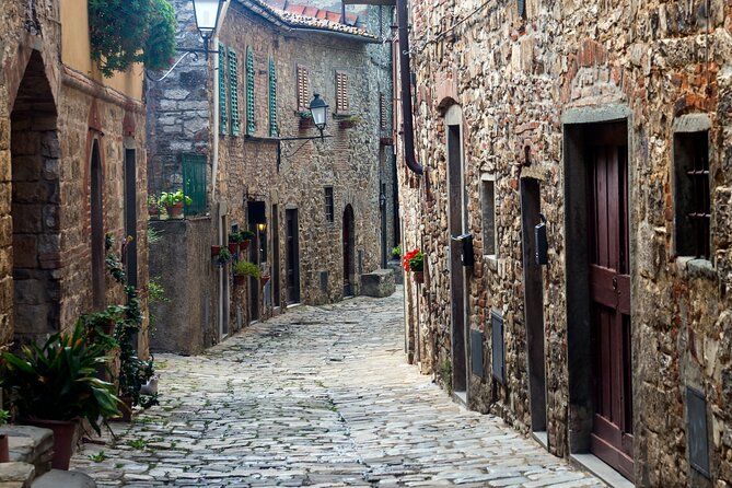 Chianti Region and San Gimignano including wine tasting and light lunch - Private transport and the value of the price