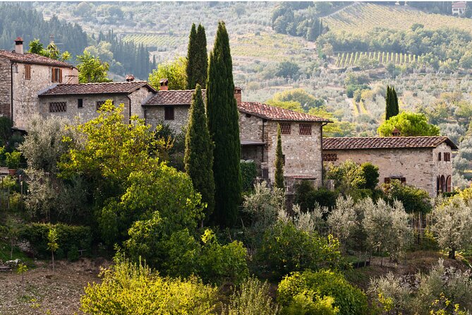 Chianti Region and San Gimignano including wine tasting and light lunch - Who should book this experience