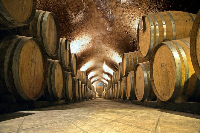 Chianti & Supertuscan Tour 2 Wineries Small Group 8 people max from Florence - Key points at a glance
