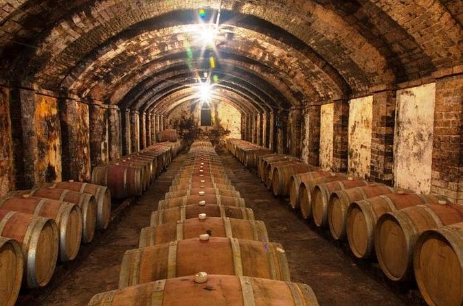 Chianti & Supertuscan Tour 2 Wineries Small Group 8 people max from Florence - Second winery: a more intimate family setting