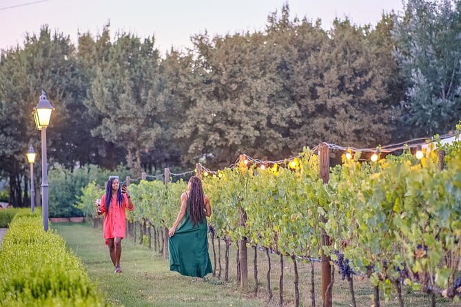 Chianti Vineyards Escape from Florence with Two Wine Tastings - Is $53.10 a good value?