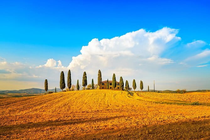 Chianti Vineyards Escape from Florence with Two Wine Tastings - Final call: a practical first taste of Tuscany