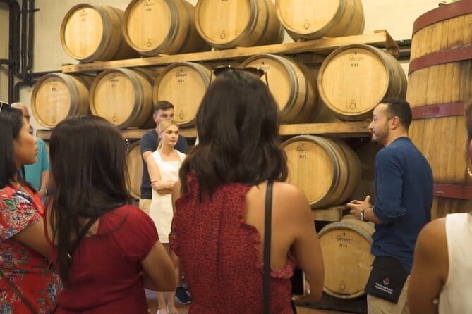 Chianti vineyards: Small-Group tour with wine tasting & Dinner - Guides and the human side of the evening
