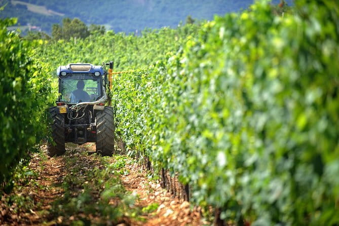 Chianti Vineyards Tours in Private Luxury Van from Florence - Key points to know before you book