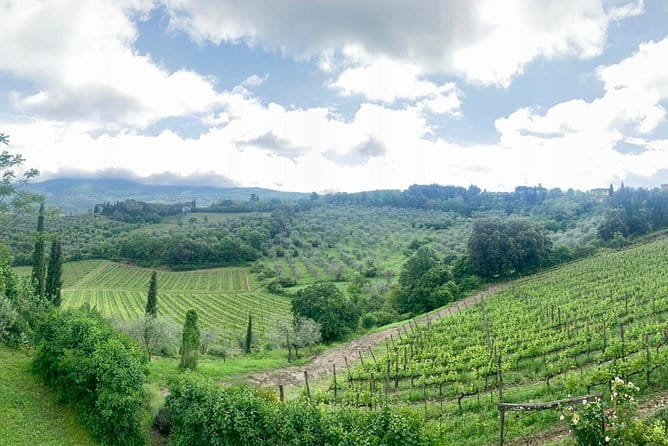 Chianti Vineyards Tours in Private Luxury Van from Florence - What the private format really gives you
