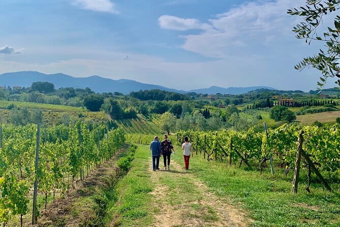 Chianti Wine Tasting Tour from Florence (2 Wineries) - First winery: a closer look at Chianti wine