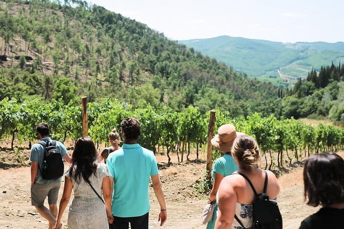 Chianti Wine Tour from Florence - Leaving Florence for the Via Chiantigiana