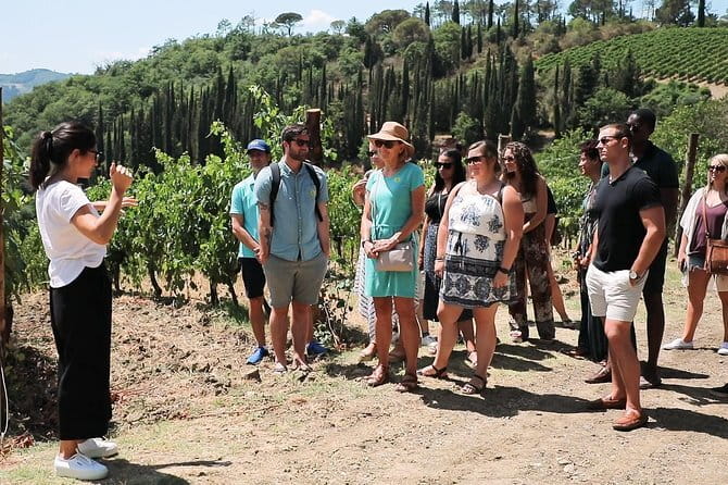 Chianti Wine Tour from Florence - Second Winery: Vineyards, Cellars, and Four Wines