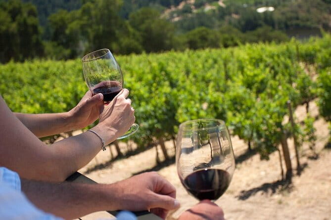 Chianti Wine Tour from Florence - Guides, Languages, and Group Size