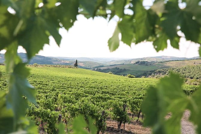 Chianti Wine Tour from Florence - Is the $59.13 Price Good Value?