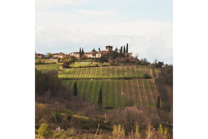 Chianti Wine Tour from Florence to San Gimignano with 2 Wineries - Piazzale Michelangelo starts the morning