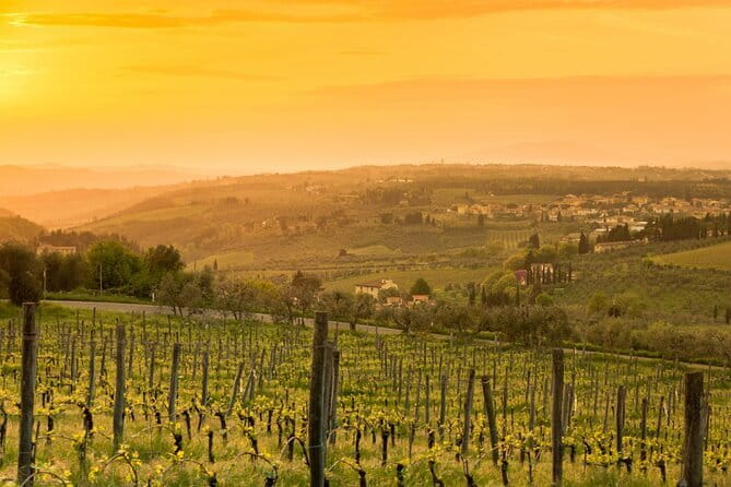 Chianti Wine Tour from Florence to San Gimignano with 2 Wineries - Who will enjoy this day most