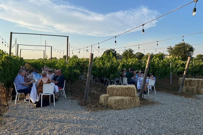 Chianti Wine Tour from Florence with Tastings - Two Tuscan wineries in five and a half hours