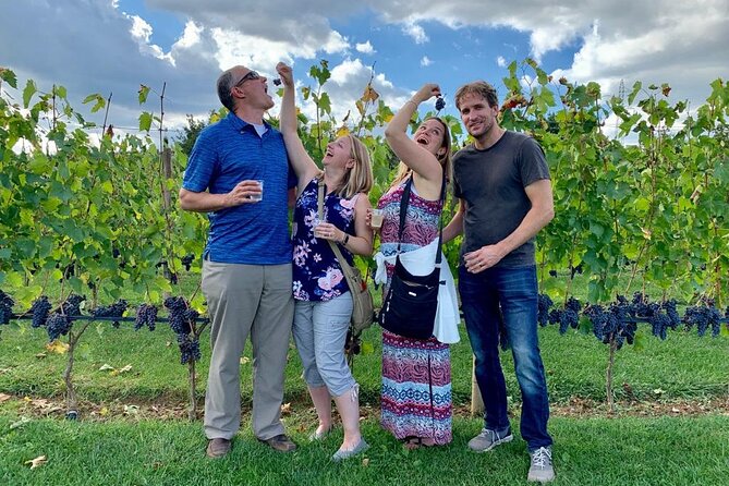 Chianti Wine Tour in Tuscany from Florence - From Florence to the Chianti countryside