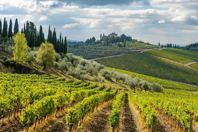 Chianti Wine Tour - Private Wine experience in Tuscany Countryside - Why this private Chianti day works well
