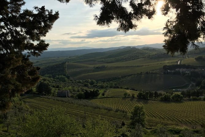 Chianti Wine Tour - Private Wine experience in Tuscany Countryside - Badia a Passignano gives the day an old-world opening
